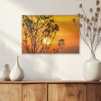 AL-030W020