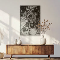 PK-062W093