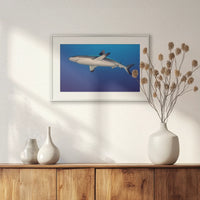 PSP060W040