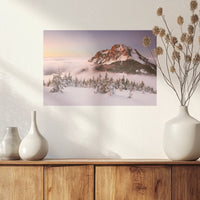 PO-030W020