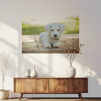 PO-120W080