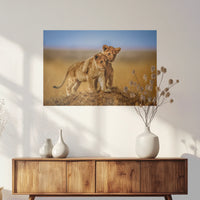 PO-075W050