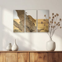 AC-060R040