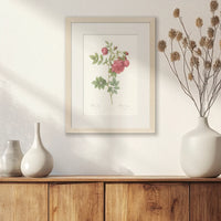 PNP030W040