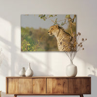 LW-075W050